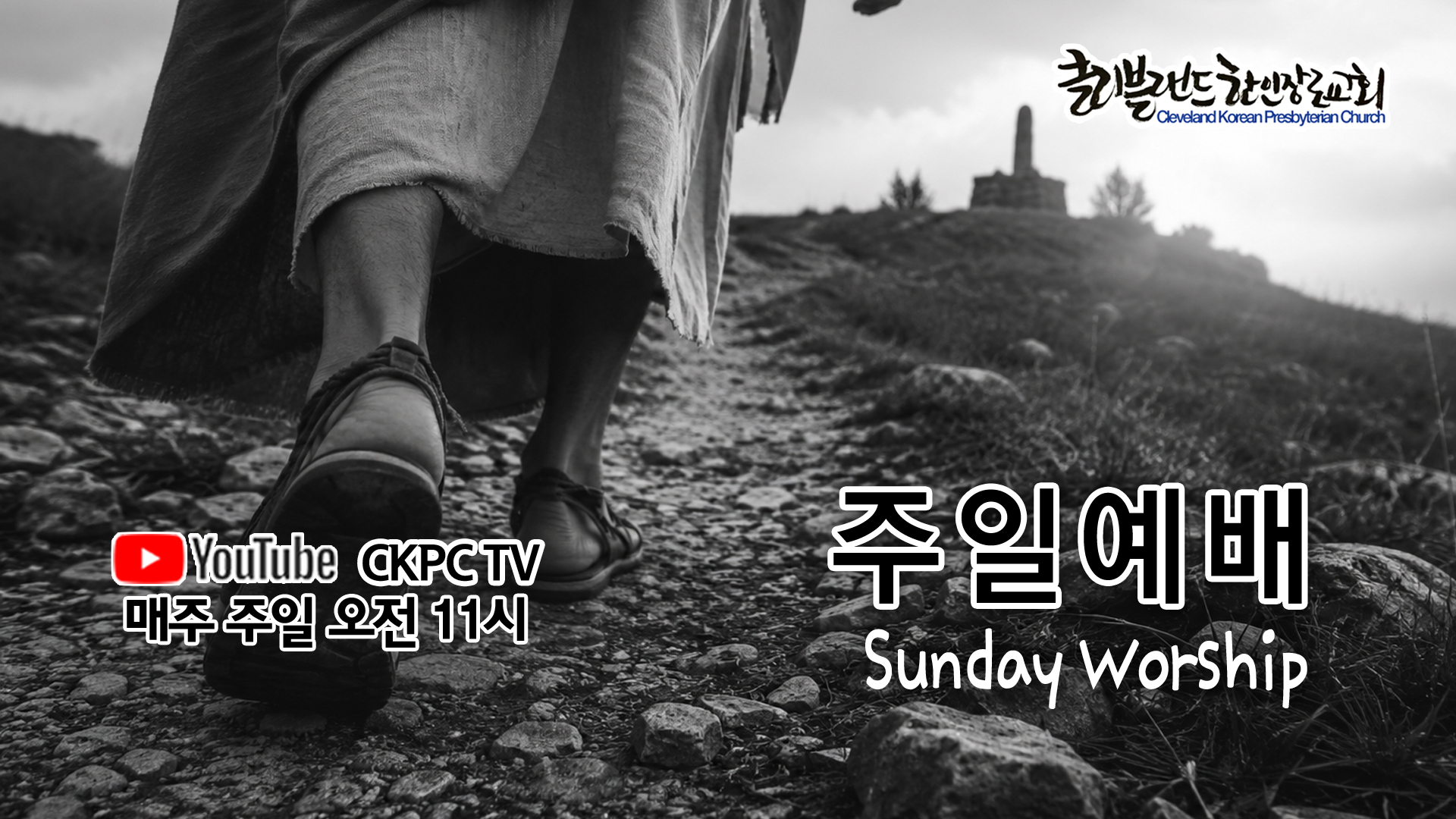 sun0324.jpg
