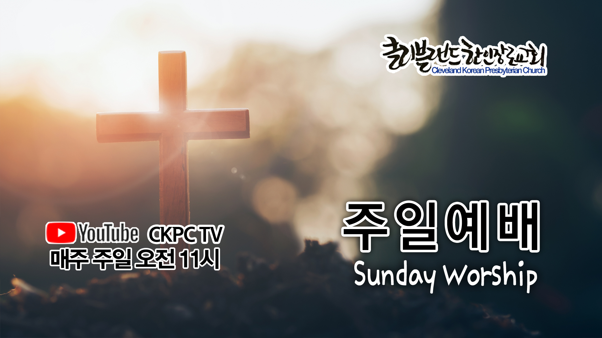 sun0324.jpg